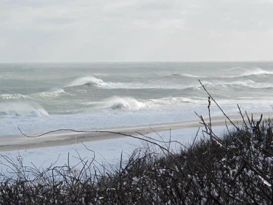 Вілла 2 Mins From Nauset Beach Орлеанс Екстер'єр фото